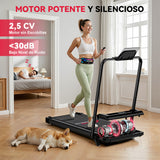 Cinta de Correr Z3 con Motor sin Escobillas, Velocidad 1-6KM/H, 5% Inclinación Manual